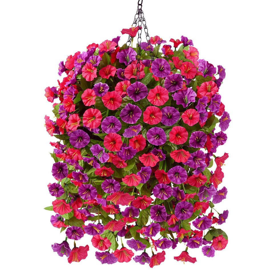 Homsunny hanging basket with morning glory bouquet ready for easy outdoor decor