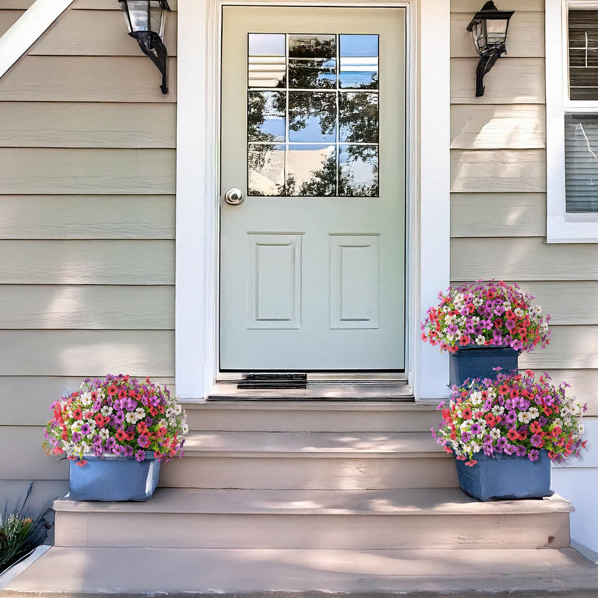 Homsunny hanging daisies enhance patios or porches with charm