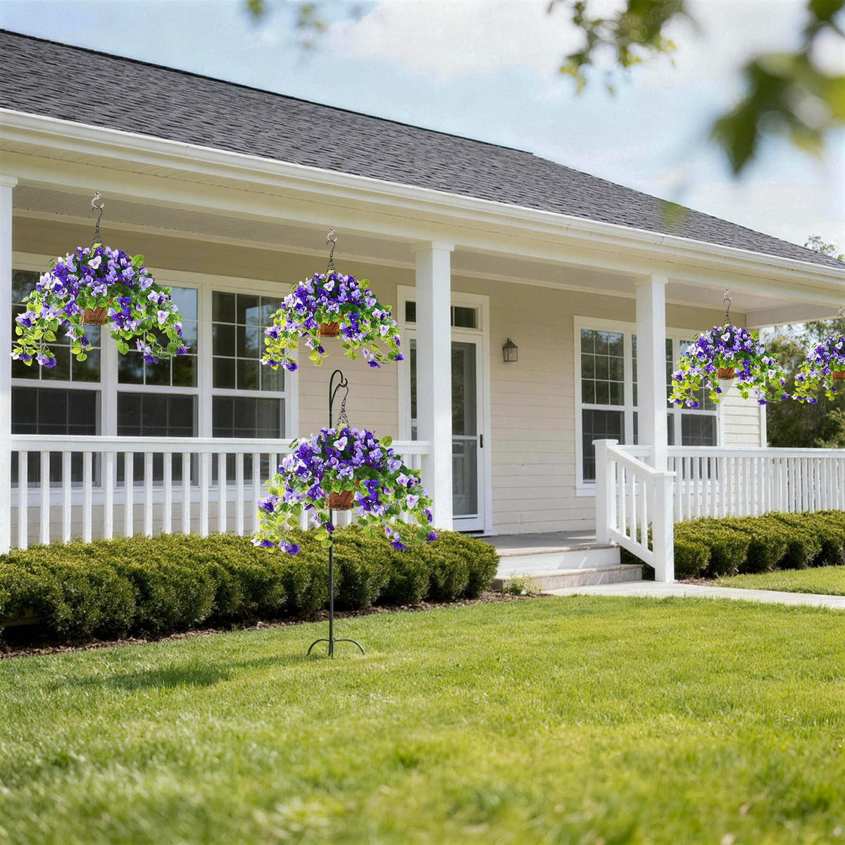 Homsunny low-maintenance blooms offer year-round color outdoors.