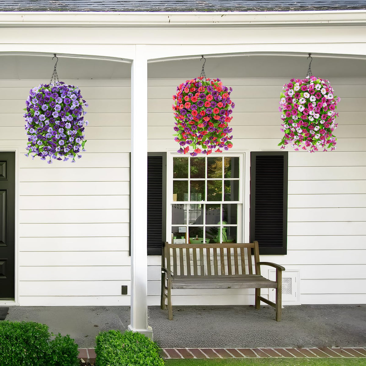 Homsunny morning glory bundles create lush vertical displays
