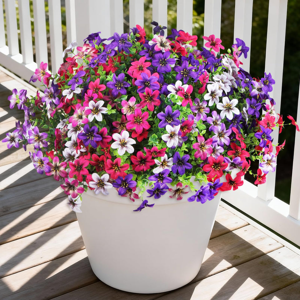 Homsunny outdoor daisy bundle closeup with vibrant petals for a sunny porch.