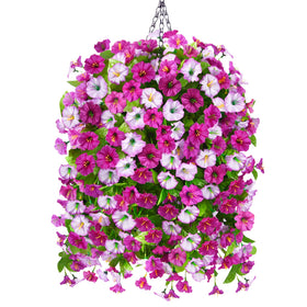 Homsunny morning glory hanging bouquet in a basket for year-round color.