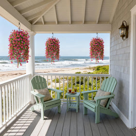 Homsunny UV-resistant daisies with eucalyptus add long-lasting color to garden spaces.