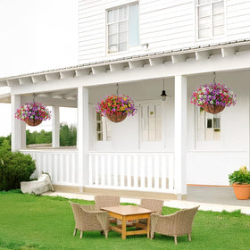 Homsunny UV-resistant daisies endure sun and rain with color