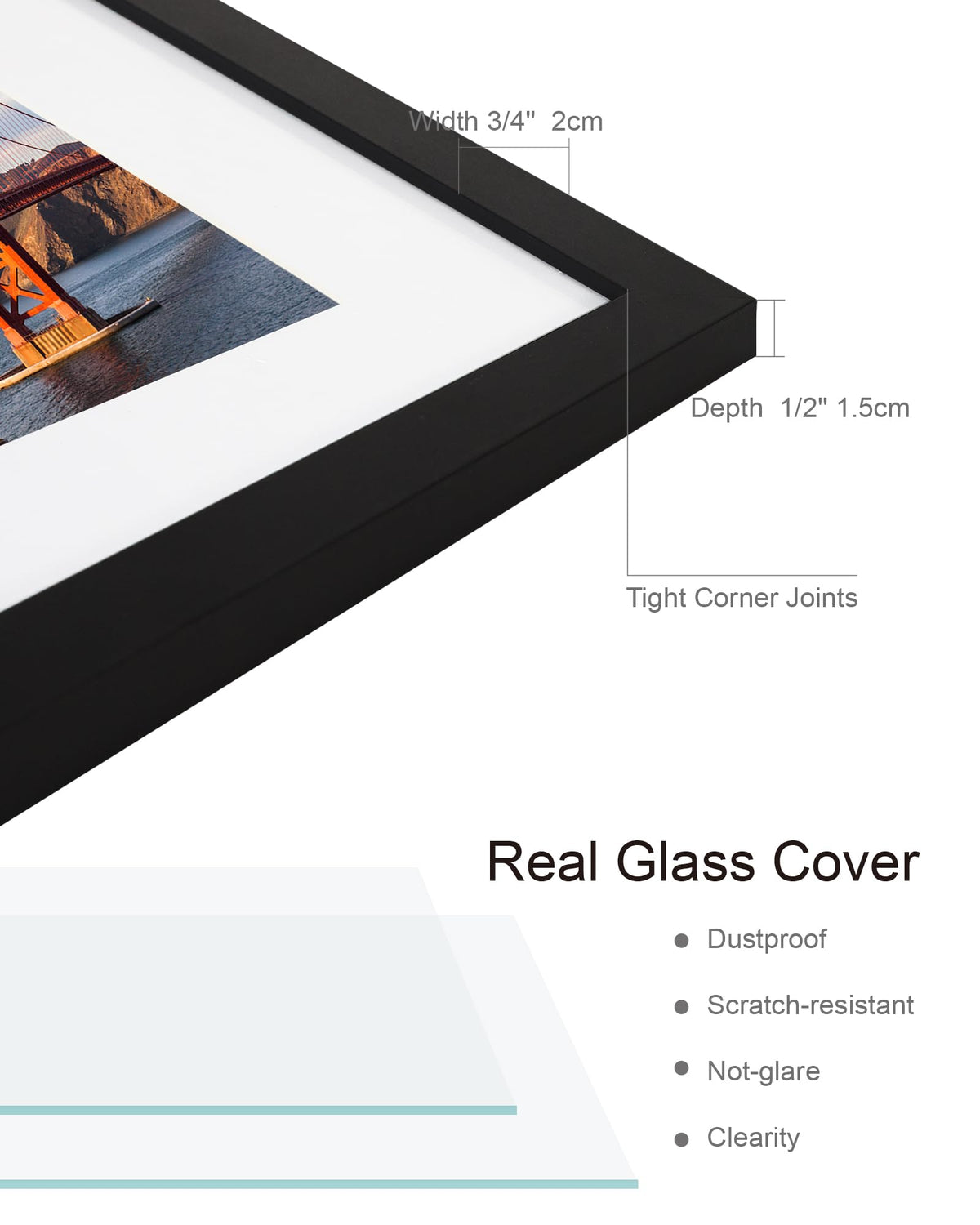 Hongkee back with swivel tabs enables quick photo swaps