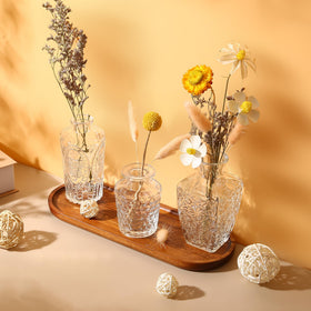 Hongqu US durable thickened-glass vase with stable base design for daily use