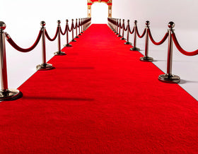 HONKKTHY red carpet 3x10ft adds glamorous entryways for weddings and parties.