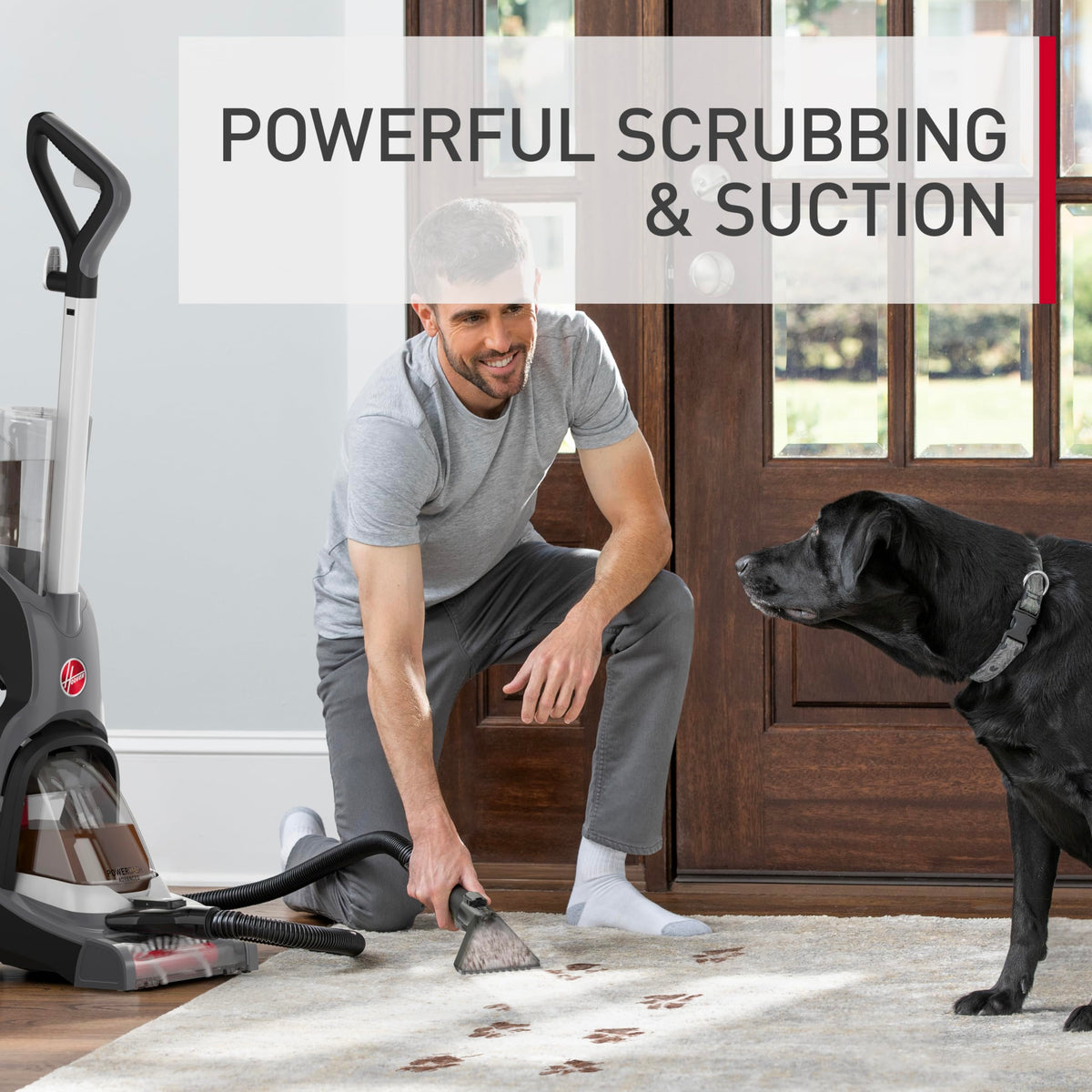 Hoover PowerDash pet friendly cleaning for everyday messes.