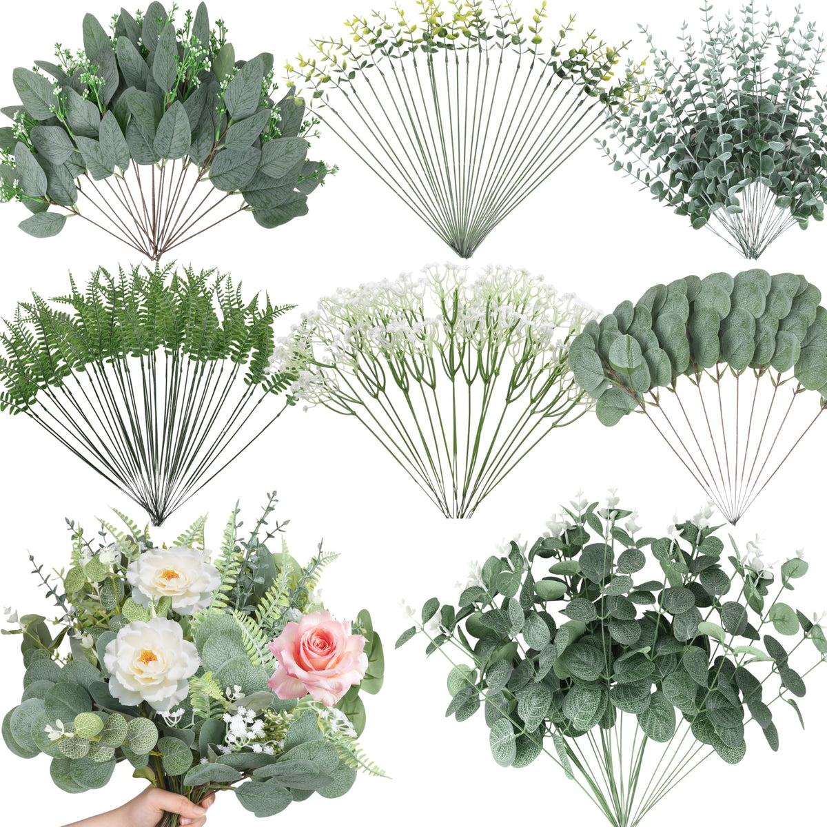Hoplito silver dollar eucalyptus leaves for elegant wedding bouquets.