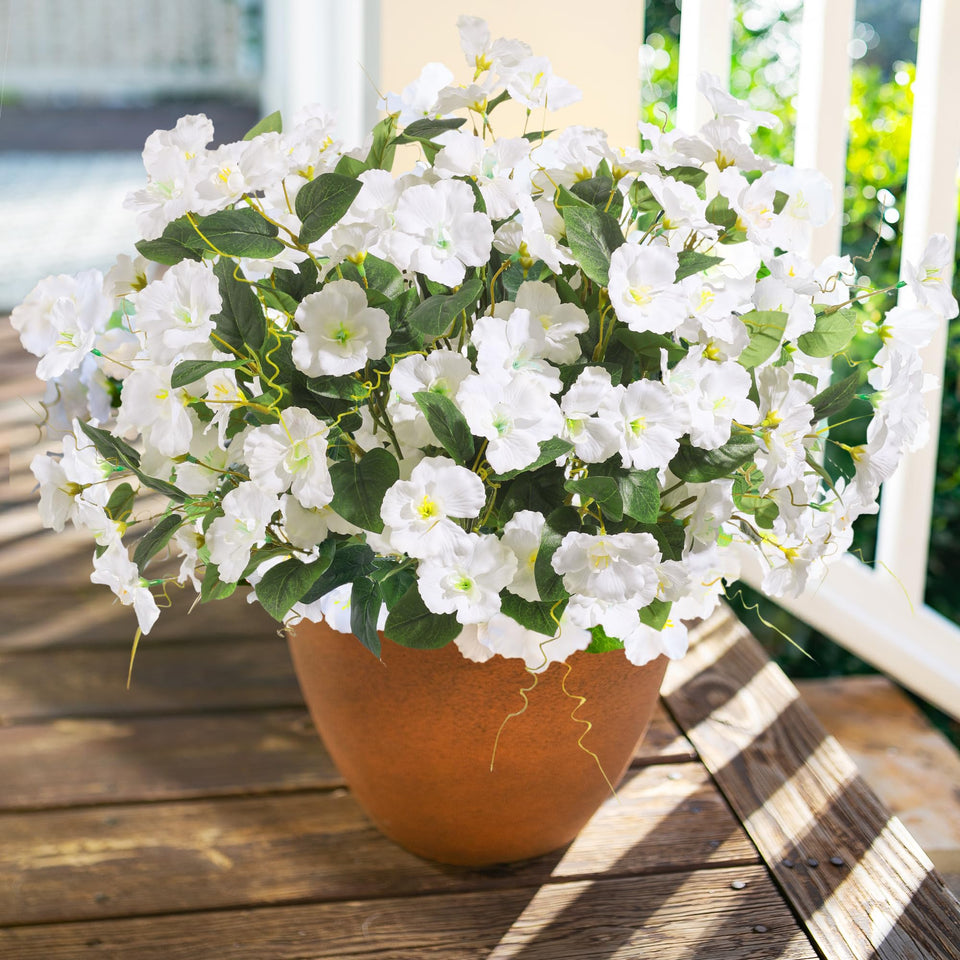 Hoppwodd Hibiscus outdoor flowers in a 6-bundle pack for curb appeal.