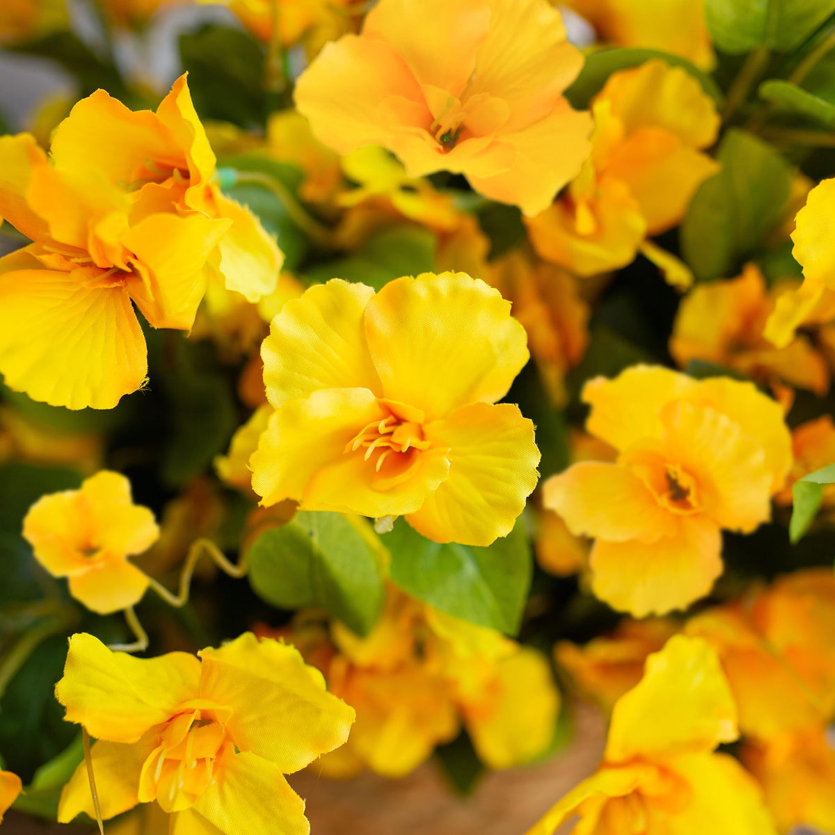 Hoppwodd hibiscus UV-resistant material ensures long-lasting outdoor use.