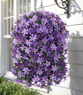 Hoppwodd outdoor lily hanging porch setup with realistic blooms