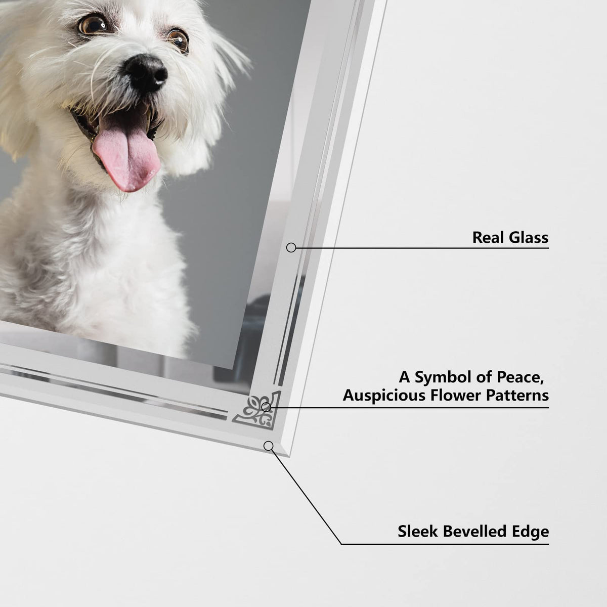 HORLIMER 8x10 back slot allows tool-free photo sliding.