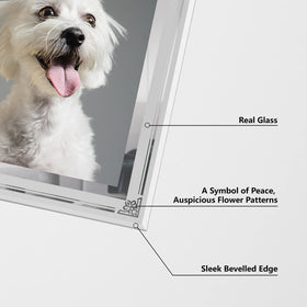 HORLIMER 8x10 back slot allows tool-free photo sliding.