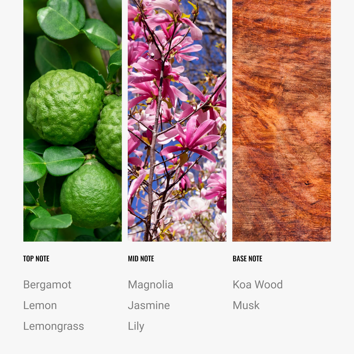 Hotel Collections eco-friendly formula supports responsible fragrance choices.