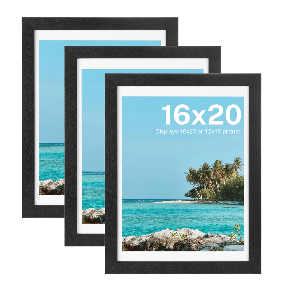 House Day 16x20 frame with matte black finish for stylish posters.