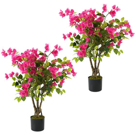 Howngyesimu bougainvillea tree 3ft adds vibrant color to any space.