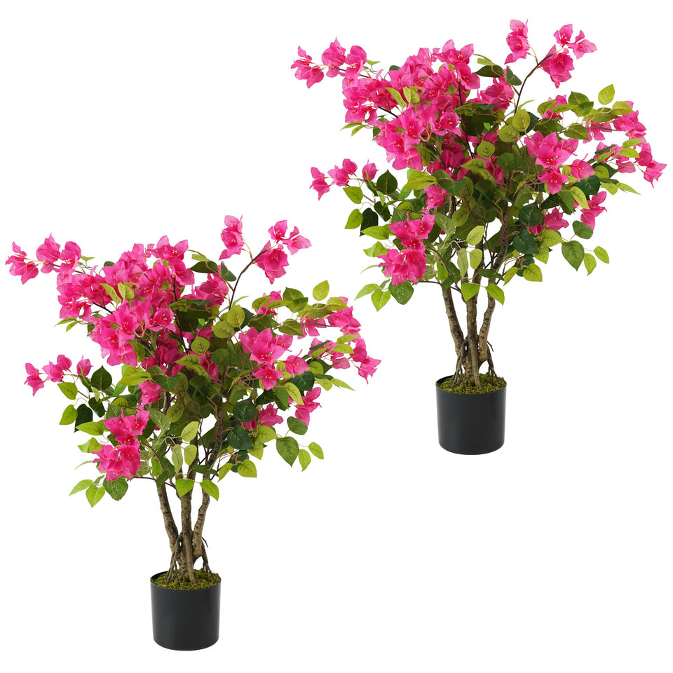 Howngyesimu bougainvillea tree 3ft adds vibrant color to any space.