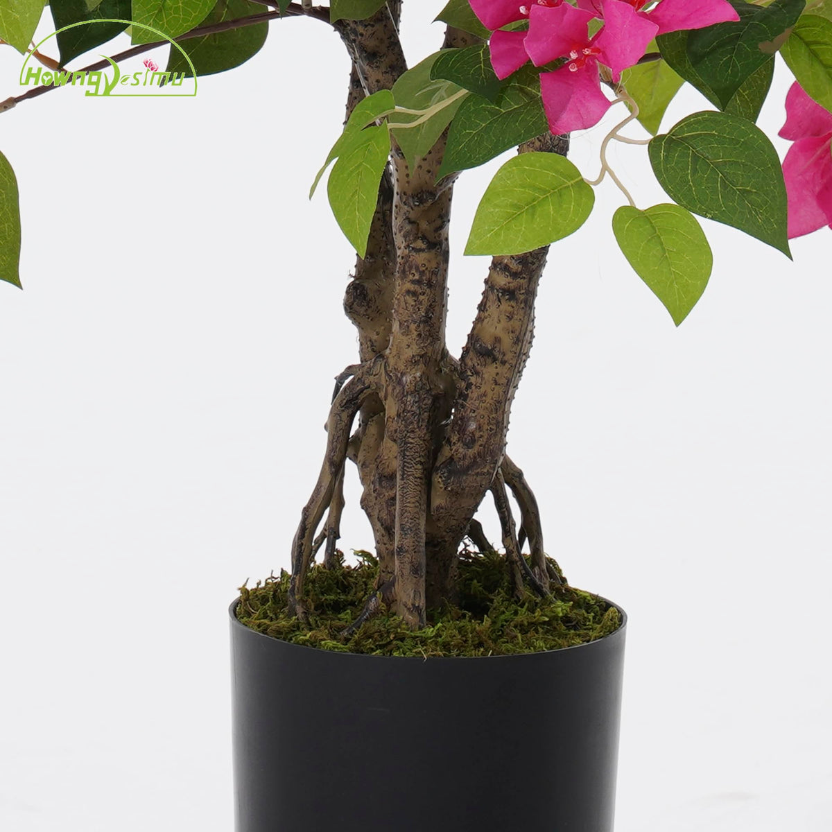 Howngyesimu bougainvillea tree flower close-up highlighting blooms.