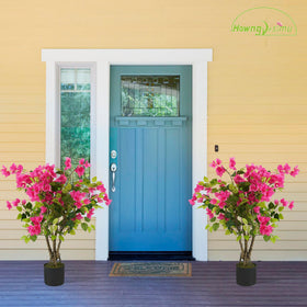 Howngyesimu bougainvillea tree in pot provides stable, ready-to-display decor.