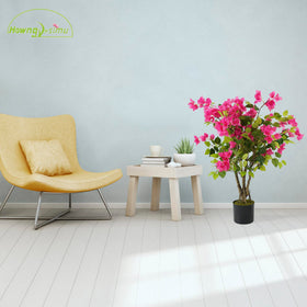 Howngyesimu bougainvillea tree stable base supports safe placement.