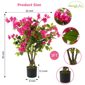 Howngyesimu bougainvillea tree trunk and vines enhance natural appeal.