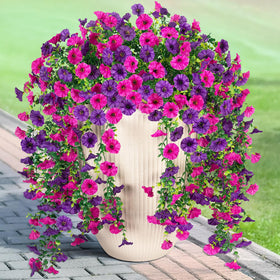 Hrobek artificial hanging petunias with morning glory and eucalyptus for instant color and charm