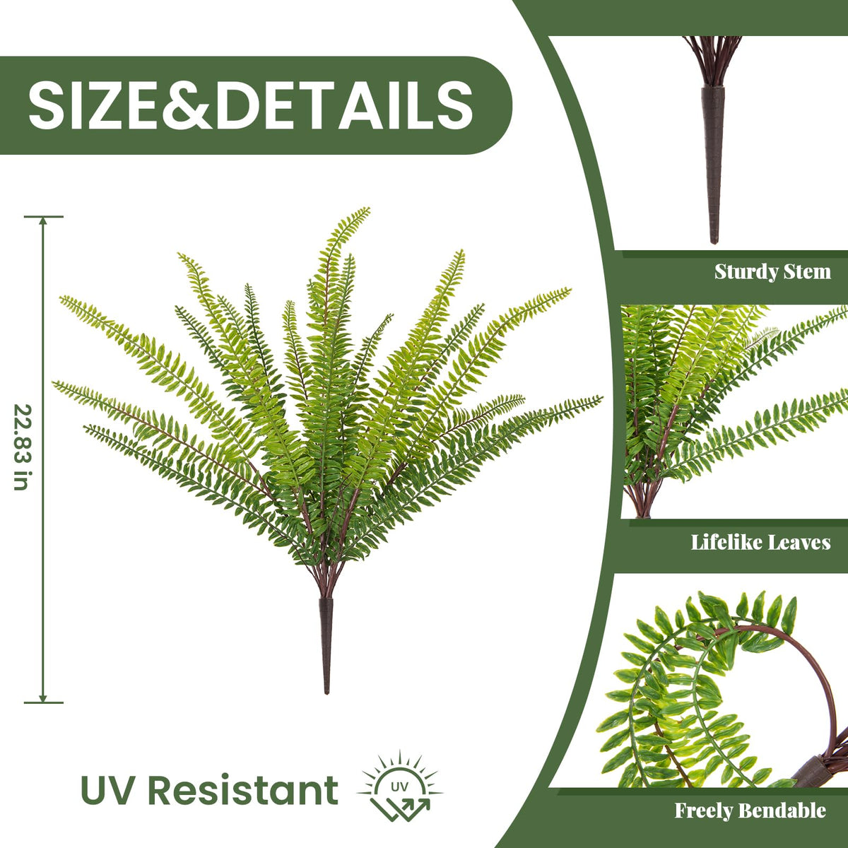 Hrobek daisy and Boston fern hanging display on porch adds year-round charm.