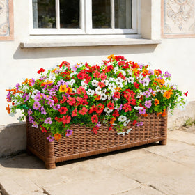Hrobek multi-color collection adds vibrant variety to any setting.