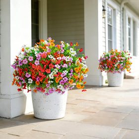Hrobek daisy decor suits front porches, patios, and window boxes.