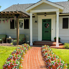Hrobek wedding-ready daisies boost ambiance without maintenance.