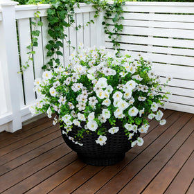 Hrobek fade-resistant outdoor silk flowers withstand sun and rain.