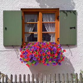 Hrobek maintenance-free flowers stay vibrant with no watering required