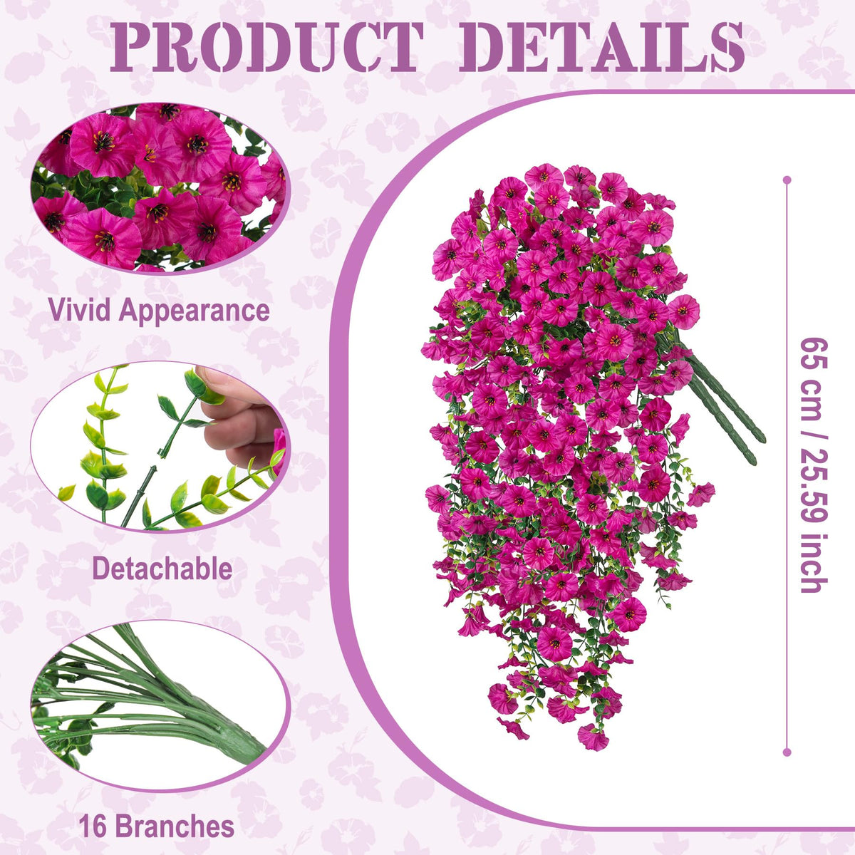 Hrobek long vine morning glory purplish flowers enhances indoor greenery