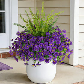 Hrobek fern bunch 22.8-inch detail for durable outdoor greenery