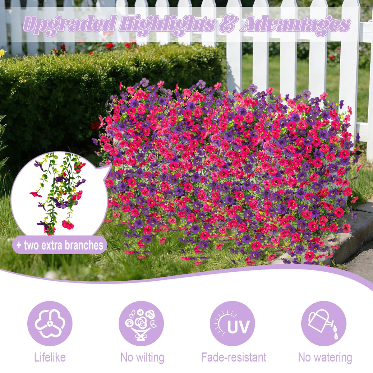 Hrobek outdoor daisy bouquet in sunlight ready to brighten patios and balconies.