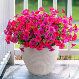 Hrobek outdoor 12-bundle morning glory with eucalyptus for porches