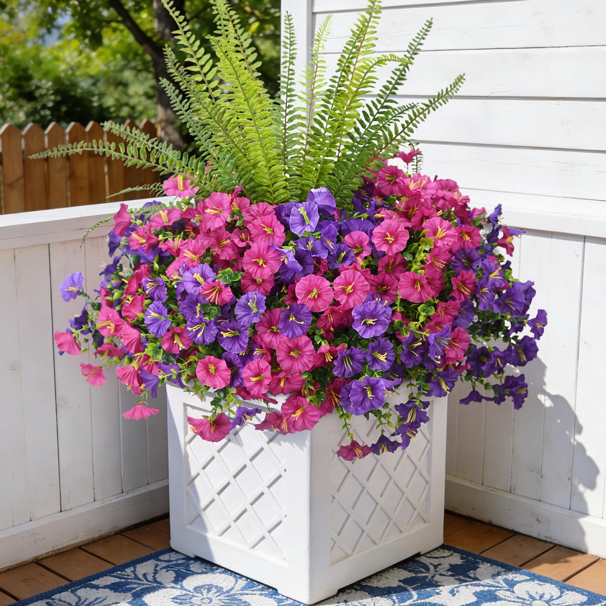 Hrobek outdoor morning glory flowers collection adds vibrant exterior color.