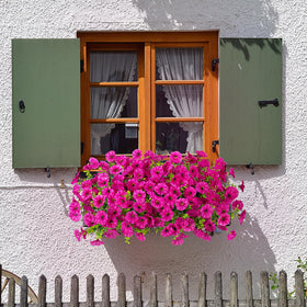 Hrobek potted or hanging decor adds charm to porches and balconies.