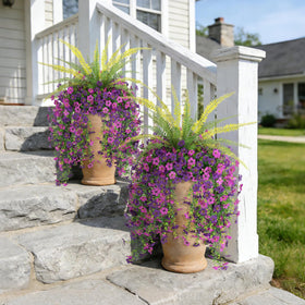 Hrobek versatile hanging flowers suit garden, patio, or indoor planter displays.