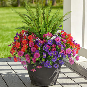 Hrobek zero maintenance lasting beauty keeps spaces lively year after year.