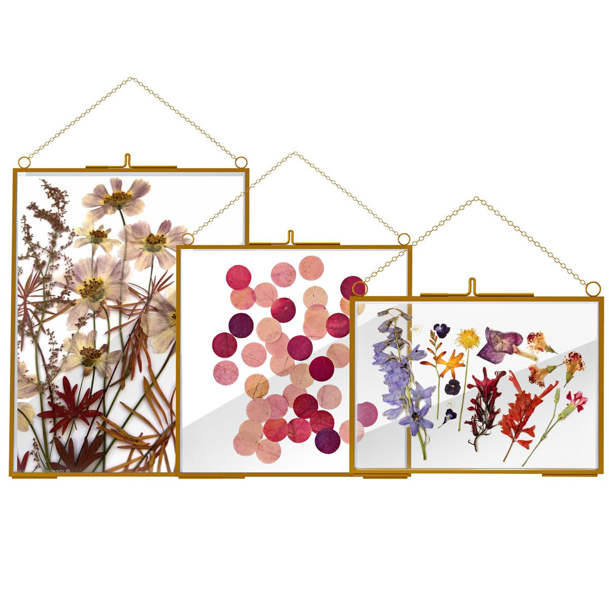 HSDSH glass frame 6x8 displays pressed flowers with clear crystal finish