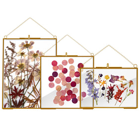 HSDSH glass frame 6x8 displays pressed flowers with clear crystal finish