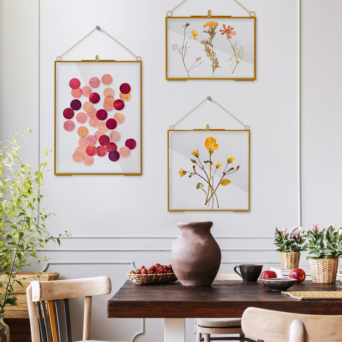 HSDSH multi-use wall decor frame set for photos and specimens