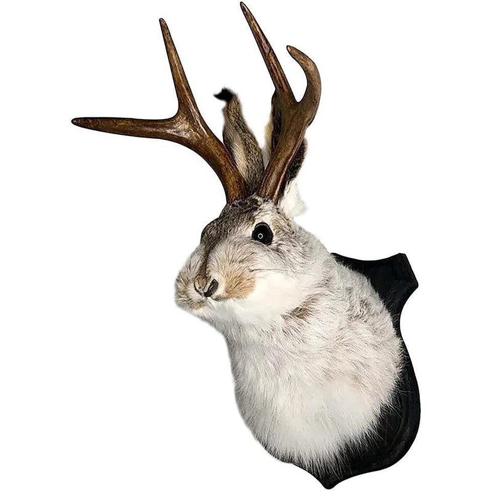 HSOSK jackalope mount wall art adds a whimsical focal point to rooms