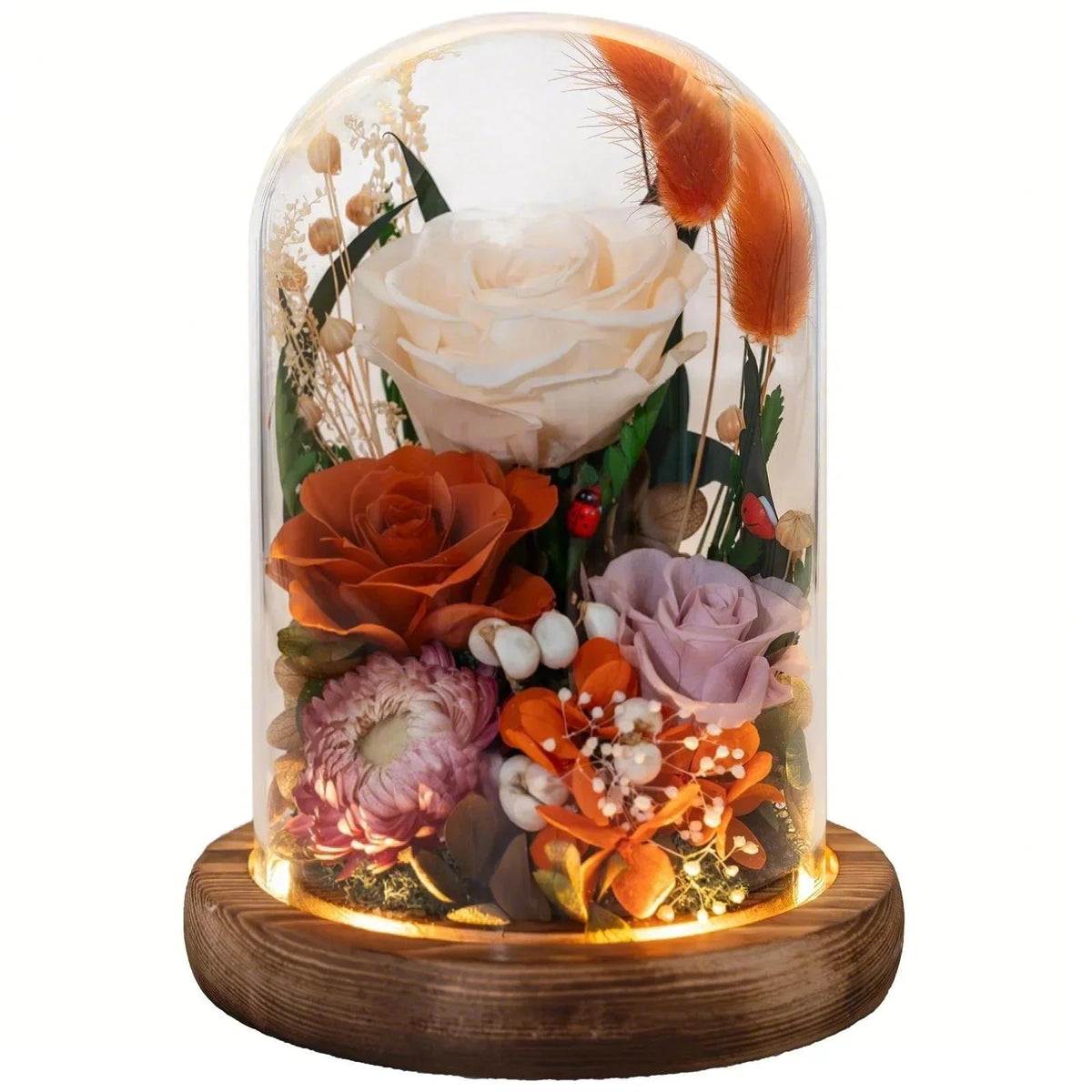 HUACHIPLUS Forever Flower orange rose in black gift box, ideal for special occasions.
