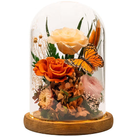 HUACHIPLUS Forever Flowers in a butterfly-dome for timeless home decor.
