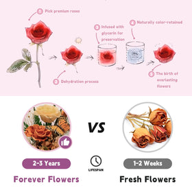 HUACHIPLUS preserved rose with butterfly as a thoughtful, long-lasting gift.
