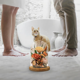 HUACHIPLUS rose in glass dome with LED base creates warm ambience.