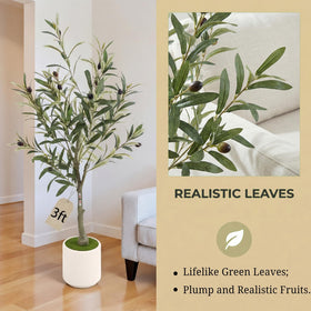 Huhemy deep purple olive berries provide seasonal color and visual interest